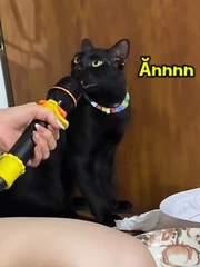 Có tí ngoại ngữ nó sang hẳn