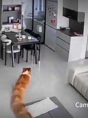 Hào hứng check camera mới, cô gái ngã ngửa với chất lượng 'vượt' mong đợi