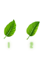 Quiz: Điểm mạnh lớn nhất của bạn là gì?