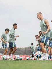 Rắn độc xuất hiện quanh sân tập của tuyển Thụy Sĩ tại World Cup 2026