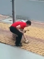 Câu chuyện đáng yêu khiến cõi mạng tan chảy