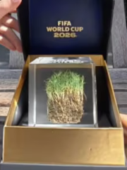 Vì sao mảnh cỏ sân chung kết World Cup giá gần 12 triệu đồng?
