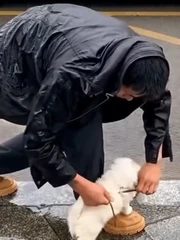 Thà ướt tay chứ nhất quyết không để ướt chó