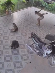 Thế nào là đau 1 quê 10?
