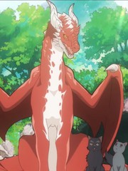 The Cat and the Dragon: Bộ phim hoạt hình chữa lành đáng yêu không nên bỏ qua