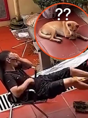 Thanh niên gặp quả báo ngay sau khi trêu chó
