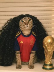 Vì sao 'mèo Cucurella' náo loạn từ TikTok lên Google?