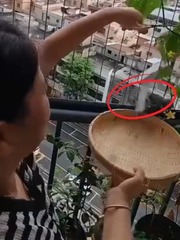 Tập tành quay clip hái quả chill chill và cái kết