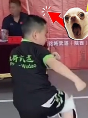 Đâu phải tự nhiên mà được gọi là thầy