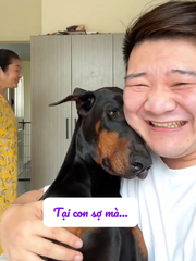 Chú chó nhõng nhẽo với cậu chủ khi bị mắng