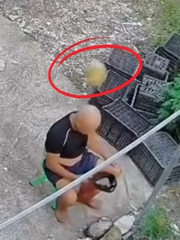 Bác trai ngồi dưới gốc dừa bỗng dưng được hưởng lộc trời cho