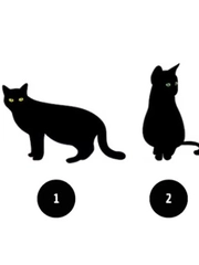 Quiz: Bạn cần thay đổi gì để cuộc sống hạnh phúc hơn?
