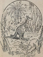 Thử tài tinh mắt: Tìm 3 con kangaroo trong hình