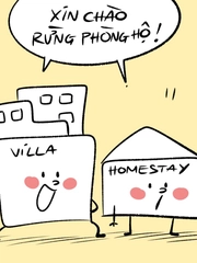 Xin chào rừng phòng hộ, chúng tôi đến... nghỉ dưỡng!