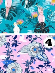 Quiz: Điều tốt đẹp gì đang chờ đón bạn phía trước?