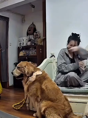 Khi nhóm chơi 4 đứa mà 2 đứa giận nhau