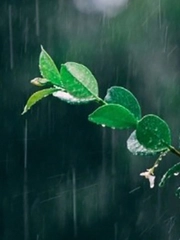 Quiz: Bạn cần buông bỏ gì để gặp được may mắn?