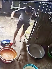 Chó hàng xóm qua ăn vụng còn định tám luôn chủ nhà