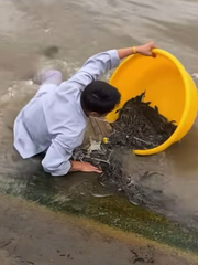 Thanh niên đi thả cá phóng sanh sai quy trình nhưng đúng kết quả