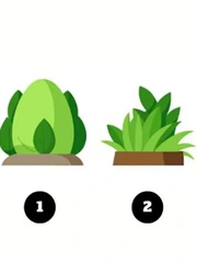 Quiz: Bạn nên đầu tư thời gian vào việc gì nhiều hơn?