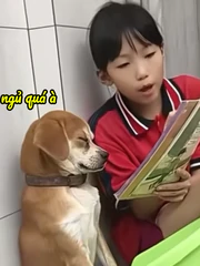 Chú chó ngủ gục khi bị cô chủ nhỏ ép học bài