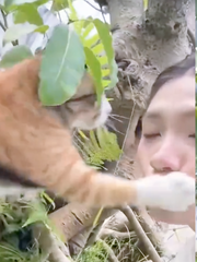 Cô chủ bất ngờ bị tát vì làm phiền... 'hoàng thượng'