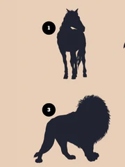 Quiz: Bạn cần làm gì vượt qua trở ngại để thành công?