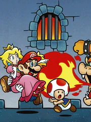 Bản game Mario Bros. hiếm được bán với giá gần nửa triệu USD