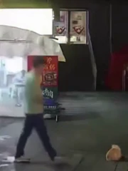 Chủ quán nướng cá thoát nạn trong gang tấc nhờ... mang đồ ăn cho mèo