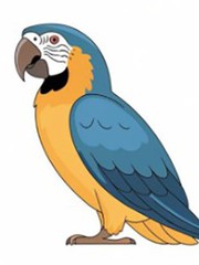 Quiz: Điều gì mang lại niềm vui thật sự cho bạn?