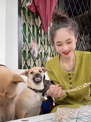 Chú chó ghen tị khi thấy cô chủ đeo dây chuyền cho đồng bọn