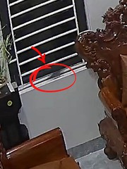 Pha bắt chuột siêu cồng kềnh của cả nhà