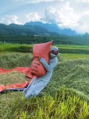Cái kết buồn... cười của câu chuyện về quê nuôi cá, trồng rau