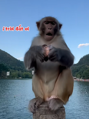 'Tề Thiên' nổi cáu với thanh niên đùa nhây