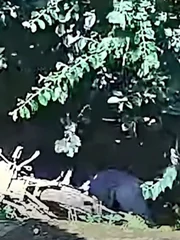 Yên tâm đi tay lái của tôi cứng lắm!
