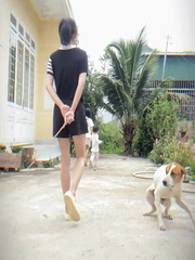 Chú chó cảnh giác tột độ khi thấy cô chủ cầm roi