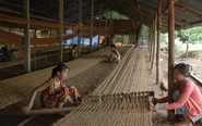 Dừa 101 công dụng