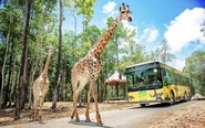 Nắm giữ 'kỷ lục kép' thế giới, Vinpearl Safari Phú Quốc quy mô cỡ nào?