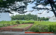 Thông báo tổ chức đấu giá tài sản