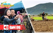 Điểm tin 18h: Không để TP.HCM thiếu rau Tết; Chơi hoa sớm đón Tết