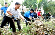 Ngày Đoàn viên cùng Chủ nhật xanh chung tay vì thành phố xanh