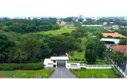 ‘Ba thập kỷ, gia vị Vedan thành người bạn trong căn bếp Việt’