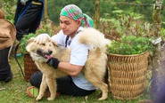 Gấu - chú chó đáng yêu trong Gia đình Haha, là 'tứ đại quốc khuyển'