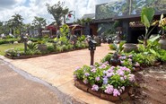 Người dân có được tự ý trồng cây xanh vỉa hè trước nhà, hàng quán?