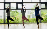 Quan hệ tình dục tiêu hao năng lượng, có thể thay thế việc tập thể dục không?
