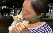 Bé mèo trong 'Sao nhập ngũ' đổi đời nhờ Văn Mai Hương