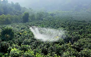 Dùng UAV hỗ trợ nông dân trên cánh đồng Điện Biên