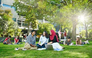 Các trường đại học New Zealand công bố học bổng 2027, cho phép ứng tuyển sớm