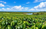 Tập đoàn Hoàng Anh Gia Lai thành lập Ủy ban Phát triển Bền vững ESG