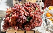 Giá cả đầu ngày: Tiểu thương chỉ cách phân biệt nho Ninh Thuận và nho Trung Quốc, giá cá tra nhích lên